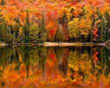 Carica l&#39;immagine nel visualizzatore di Gallery, Dipingere con i numeri - Riflessi Sul Lago In Autunno