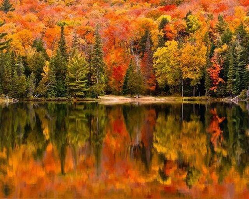 Dipingere con i numeri - Riflessi Sul Lago In Autunno