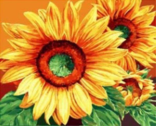 Dipingere con i numeri - Grandi Girasoli