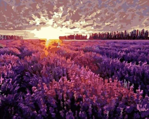 Dipingere con i numeri - Campo Di Lavanda