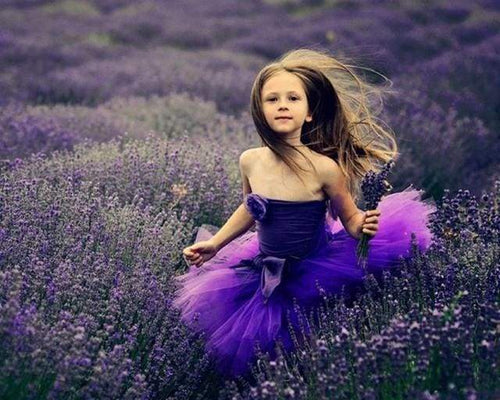 Dipingere con i numeri - Ragazza Di Lavanda