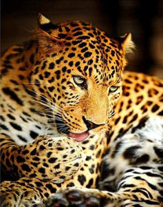 Dipingere con i numeri - Leopardo