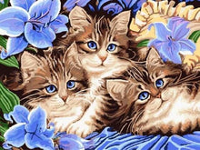 Carica l&#39;immagine nel visualizzatore di Gallery, Dipingere con i numeri - La Famiglia Dei Gatti