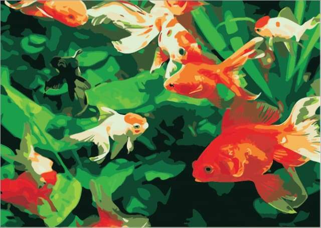 Dipingere con i numeri - La Vita Con Il Pesce Rosso