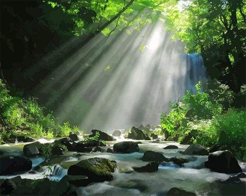 Dipingere con i numeri - Luci Nella Foresta