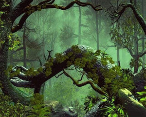 Dipingere con i numeri - Perso Nella Foresta