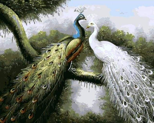 Dipingere con i numeri - Pavoni Amorevoli