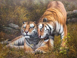 Dipingere con i numeri - Tigri Amorevoli