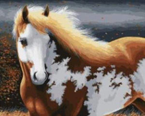 Dipingere con i numeri - Cavallo Magico