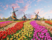 Carica l&#39;immagine nel visualizzatore di Gallery, Dipingere con i numeri - Mulini E Fiori