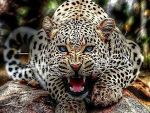 Dipingere con i numeri - Ruggito Della Mamma Leopardo