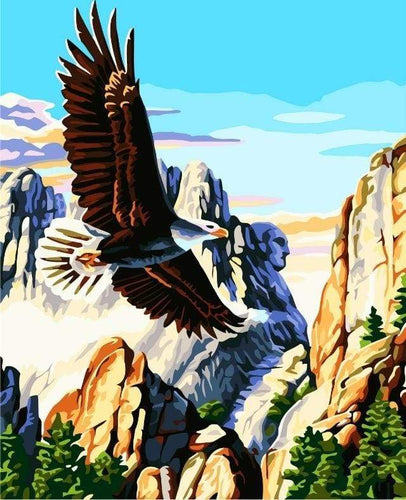 Dipingere con i numeri - Aquila Di Montagna