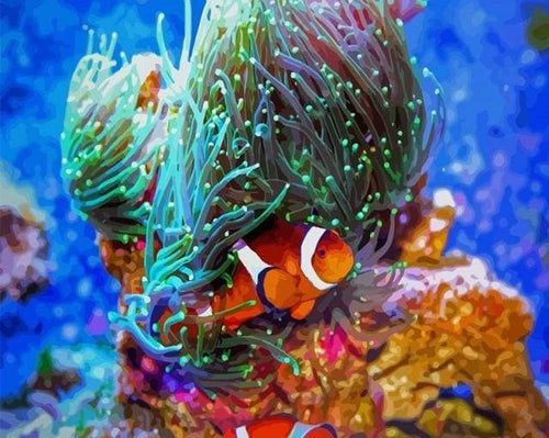 Dipingere con i numeri - Nemo Il Pesce