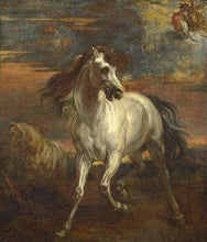 Carica l&#39;immagine nel visualizzatore di Gallery, Dipingere con i numeri - Vecchio Cavallo