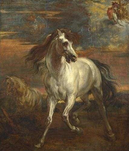 Dipingere con i numeri - Vecchio Cavallo
