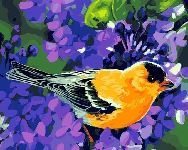 Dipingere con i numeri - Uccello Arancione