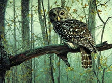 Carica l&#39;immagine nel visualizzatore di Gallery, Dipingere con i numeri - Gufo