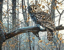 Carica l&#39;immagine nel visualizzatore di Gallery, Dipingere con i numeri - Gufo Nella Foresta