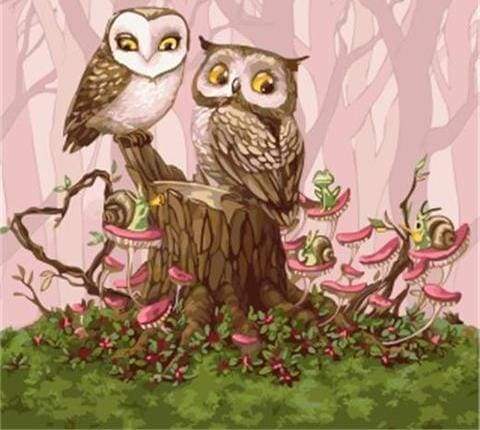 Dipingere con i numeri - Gufi Nella Foresta