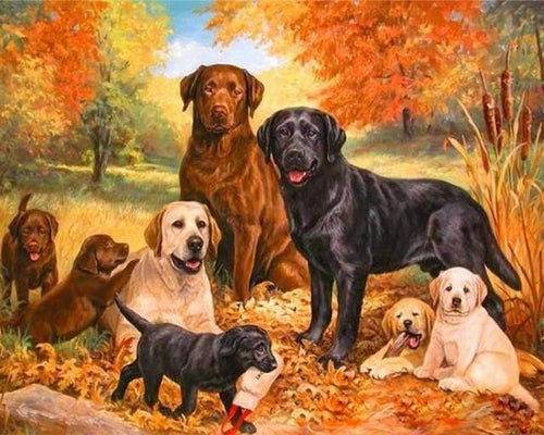 Dipingere con i numeri - Branco Di Cani
