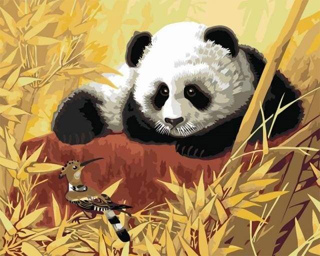 Dipingere con i numeri - Panda E Uccello