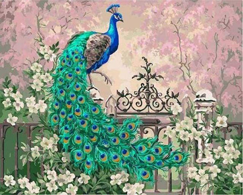 Dipingere con i numeri - Pavone E Fiori Bianchi