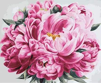 Dipingere con i numeri - Peonia Rosa