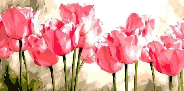 Dipingere con i numeri - Tulipani Rosa