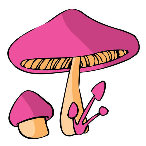 Dipingere con i numeri Bambini - Fungo Rosa