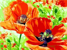 Carica l&#39;immagine nel visualizzatore di Gallery, Dipingere con i numeri - Papaveri