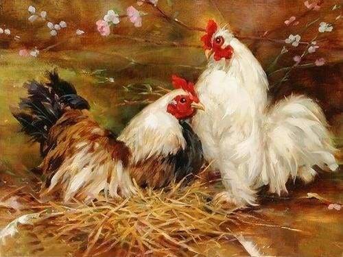Dipingere con i numeri - Gallina e gallo