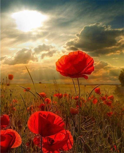 Dipingere con i numeri - Fiori Rossi E Luce Solare