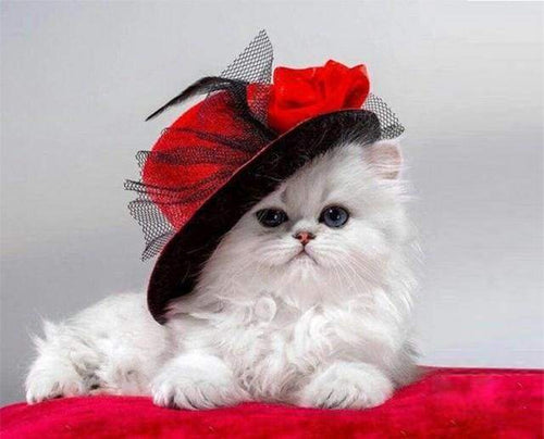 Dipingere con i numeri - Il Gatto Con il Cappello Rosso