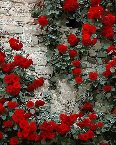Dipingere con i numeri - Rose Rosse