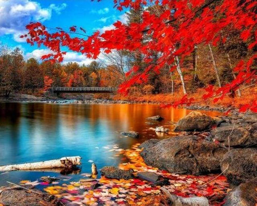 Dipingere con i numeri - Fiume E Foresta D'Autunno