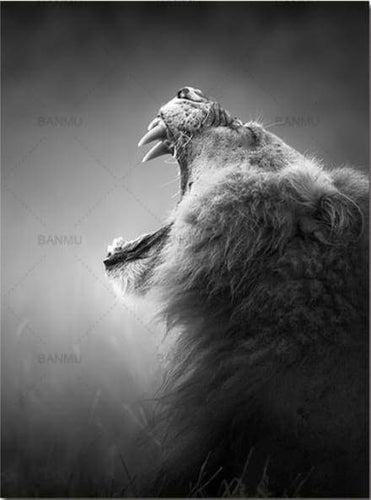 Dipingere con i numeri - Ruggito