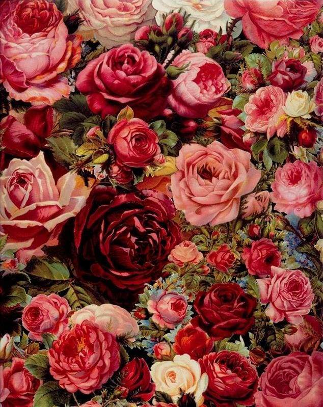 Dipingere con i numeri - Rose Rosse Romantiche