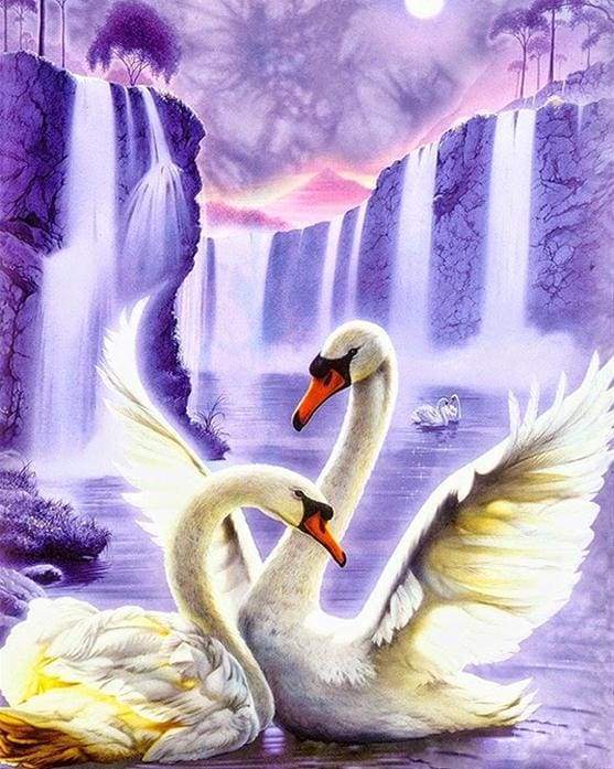 Dipingere con i numeri - Cigni Romantici