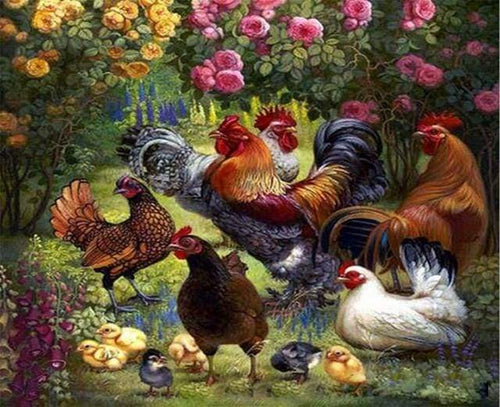 Dipingere con i numeri - Gallo E Gallina
