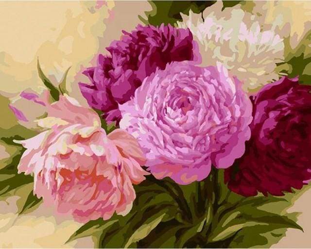 Dipingere con i numeri - Sfumature Di Rosa