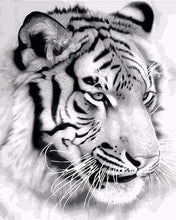 Carica l&#39;immagine nel visualizzatore di Gallery, Dipingere con i numeri - Tigre Siberiana