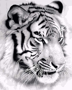 Dipingere con i numeri - Tigre Siberiana