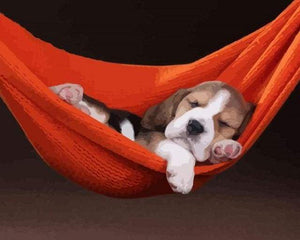 Dipingere con i numeri - Cane Dormiente