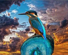 Carica l&#39;immagine nel visualizzatore di Gallery, Dipingere con i numeri - Piccolo Uccello Con Becco Lungo