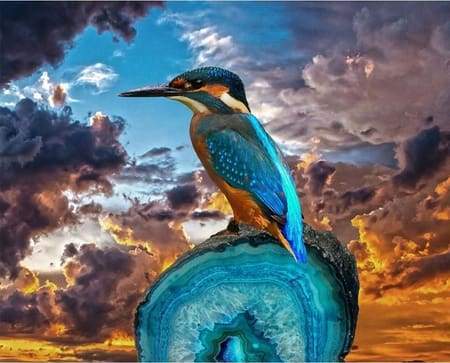 Dipingere con i numeri - Piccolo Uccello Con Becco Lungo