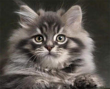 Carica l&#39;immagine nel visualizzatore di Gallery, Dipingere con i numeri - Piccolo Gatto