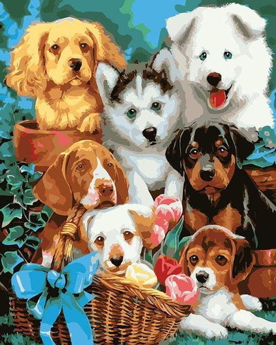 Dipingere con i numeri - Cani Di Piccola Taglia In Un Cestino