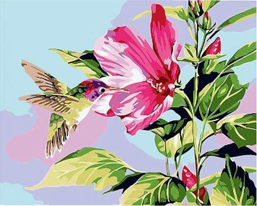 Dipingere con i numeri - Piccolo Colibrì Tra I Fiori