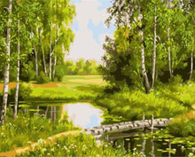 Carica l&#39;immagine nel visualizzatore di Gallery, Dipingere con i numeri - Piccolo Stagno E Paesaggio Verde