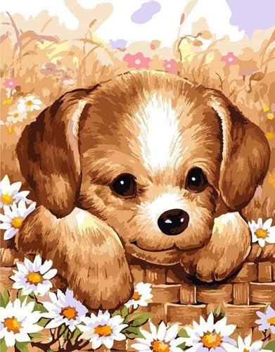Dipingere con i numeri - Piccolo Cucciolo